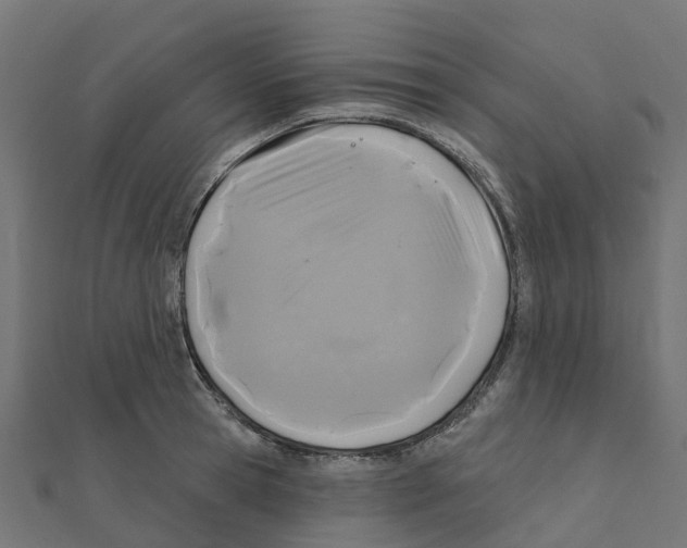 X0000111240945200907301304