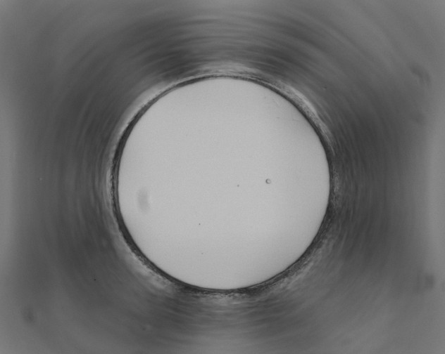 X0000111240947200907301304