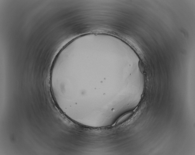 X0000111240948200907301304
