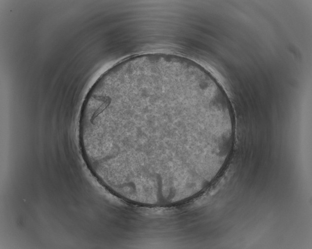 X0000111240949200907301304
