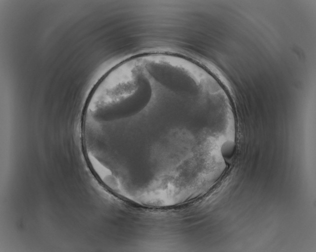 X0000111240951200907301304