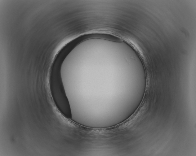 X0000111240952200907301304