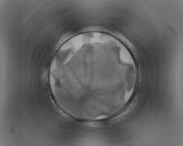 X0000111240953200907301304