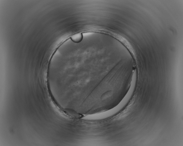 X0000111240954200907301304