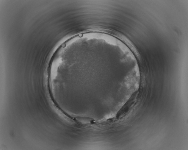 X0000111240955200907301304