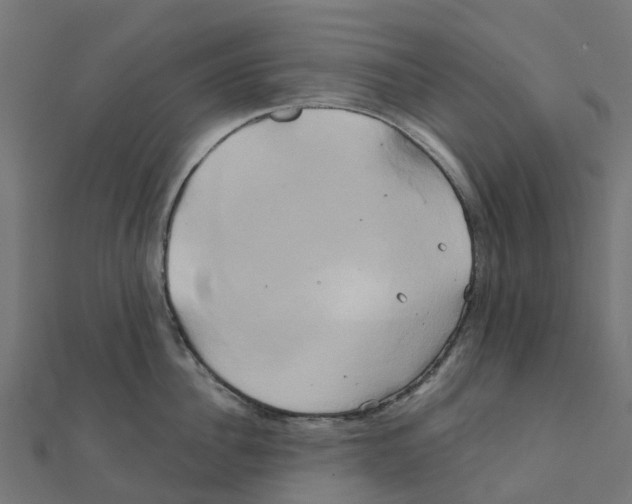 X0000111240956200907301304