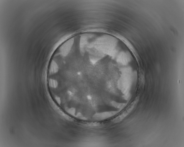 X0000111240957200907301304