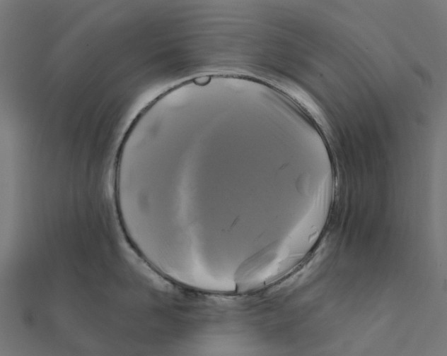 X0000111240958200907301304