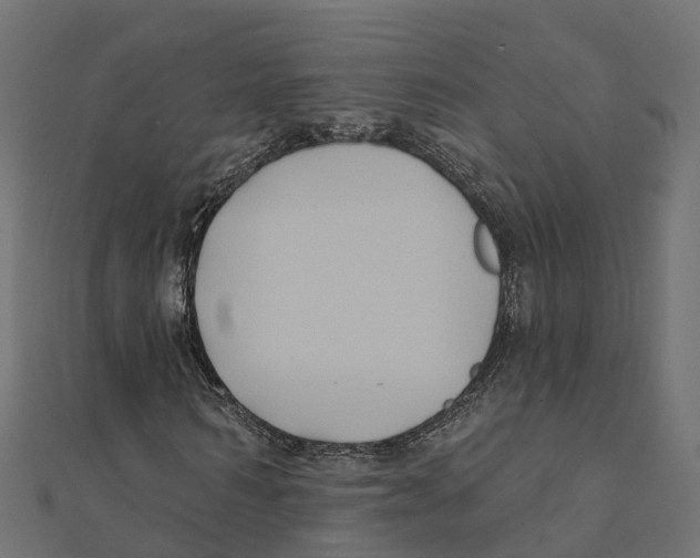 X0000111240962200907301303