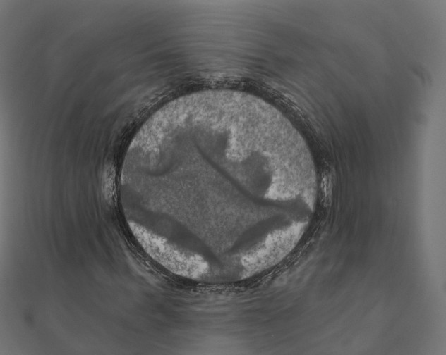 X0000111240963200907301303
