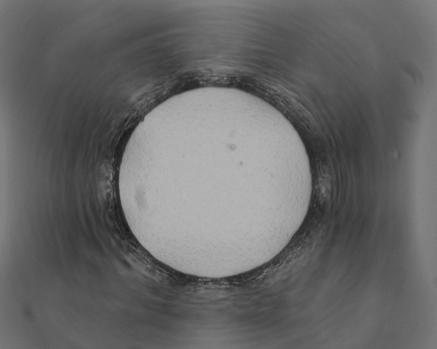 X0000111240964200907301303
