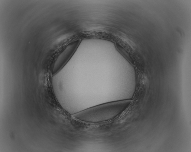 X0000111240965200907301303