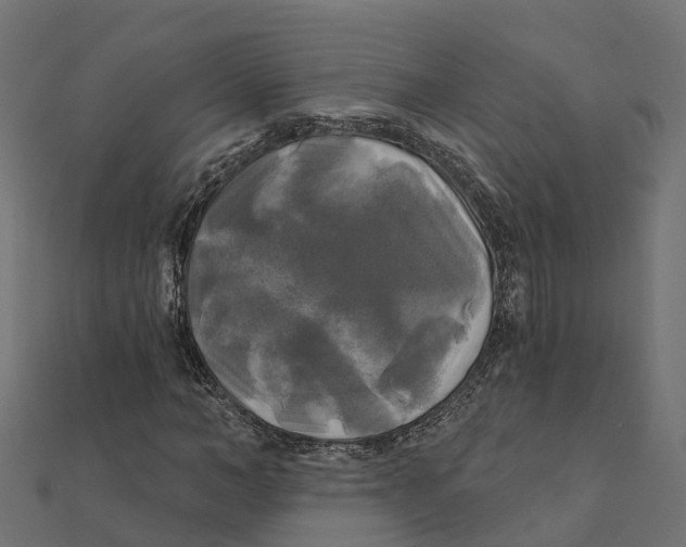 X0000111240966200907301303
