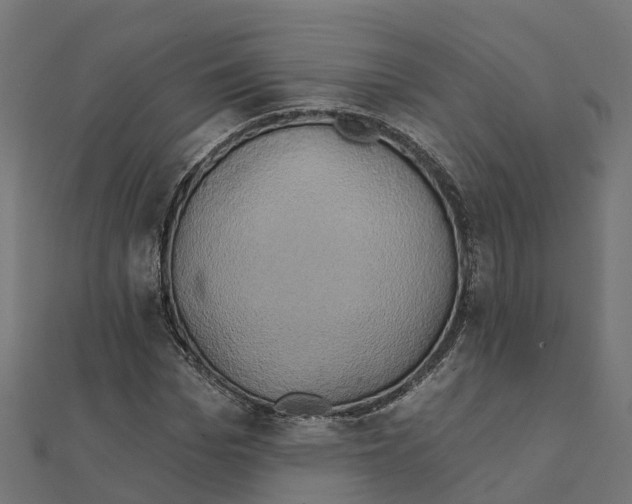 X0000111240969200907301303