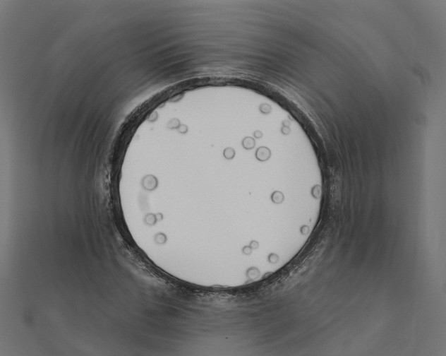 X0000111240971200907301303