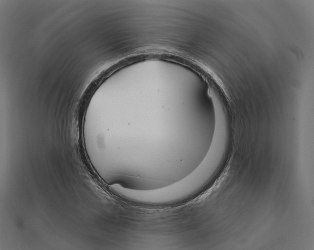 X0000111240973200907301303