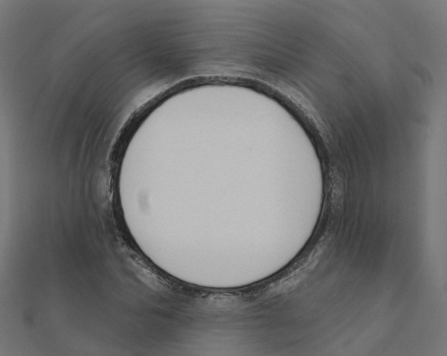 X0000111240974200907301303