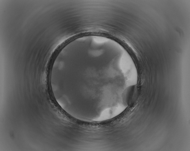 X0000111240975200907301303