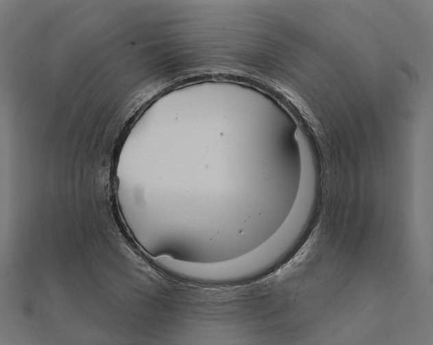 X0000111240977200907301303