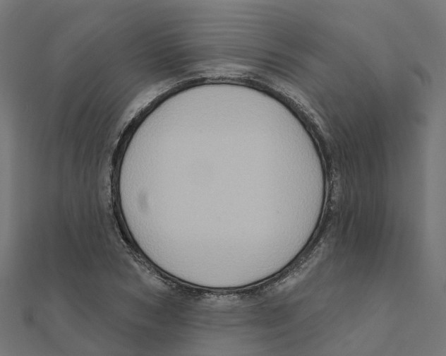 X0000111240978200907301303