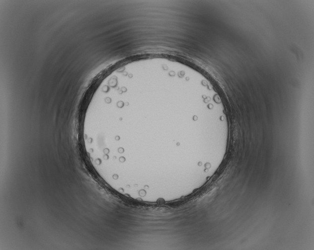 X0000111240979200907301303