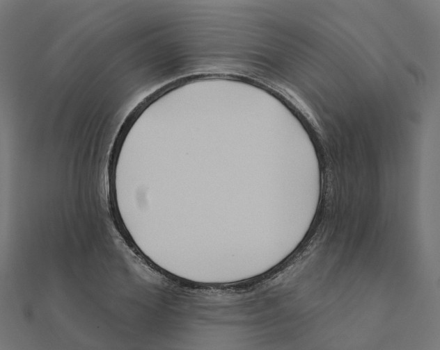 X0000111240980200907301303