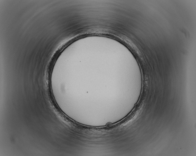 X0000111240981200907301303