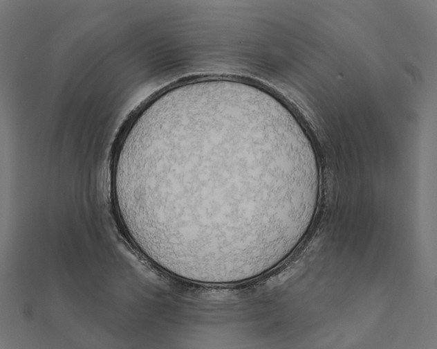 X0000111240982200907301303