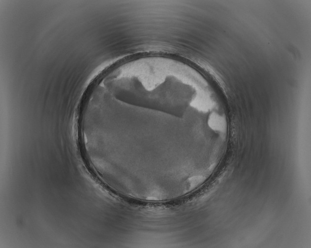 X0000111240983200907301303