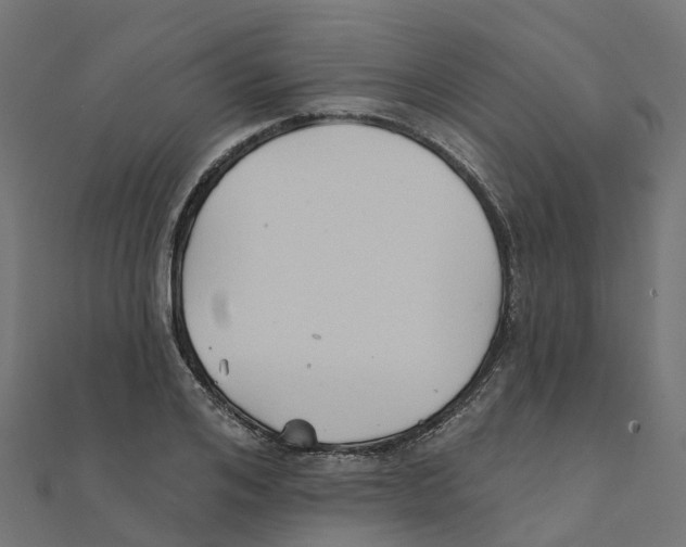 X0000111240984200907301303