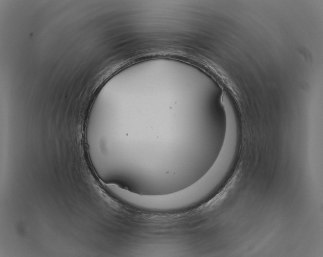 X0000111240985200907301303