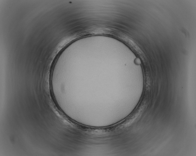 X0000111240986200907301303