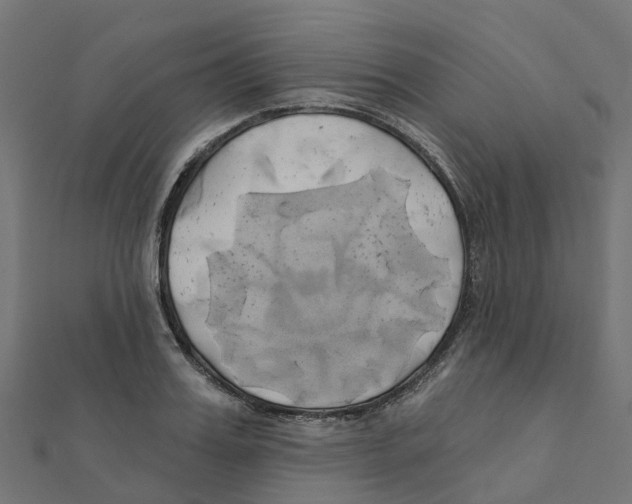 X0000111240987200907301303