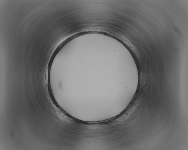 X0000111240988200907301303