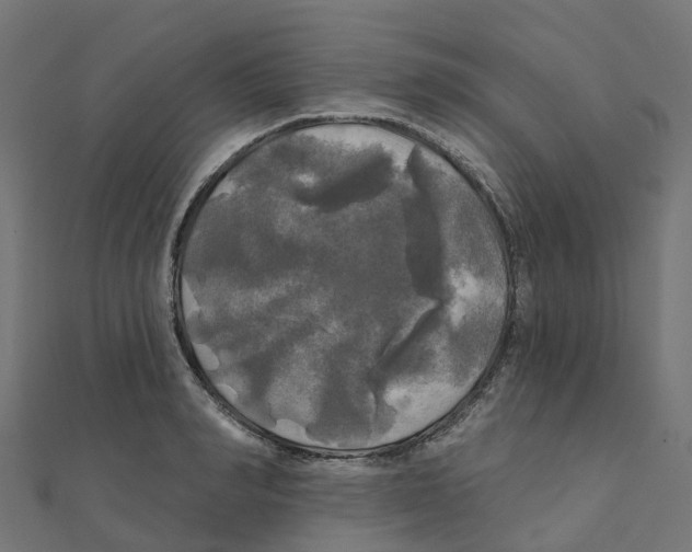 X0000111240990200907301303