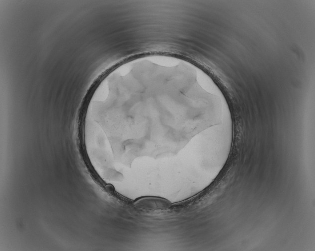X0000111240991200907301303