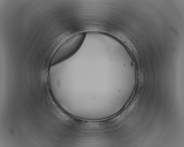 X0000111240993200907301303