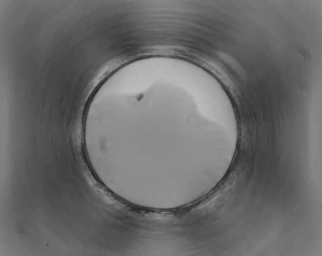 X0000111240994200907301303