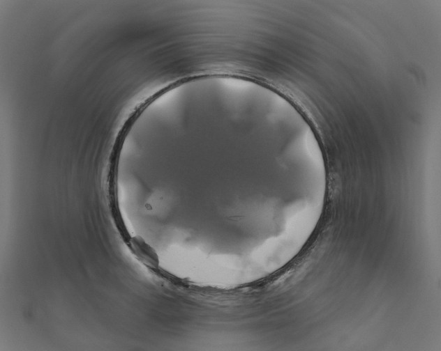 X0000111240995200907301303