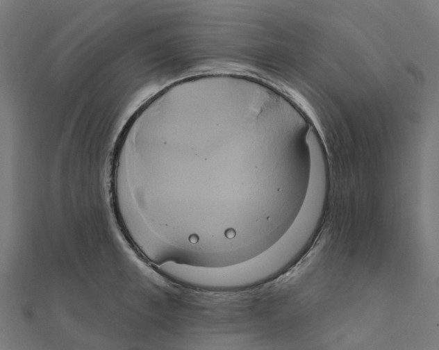 X0000111240997200907301303