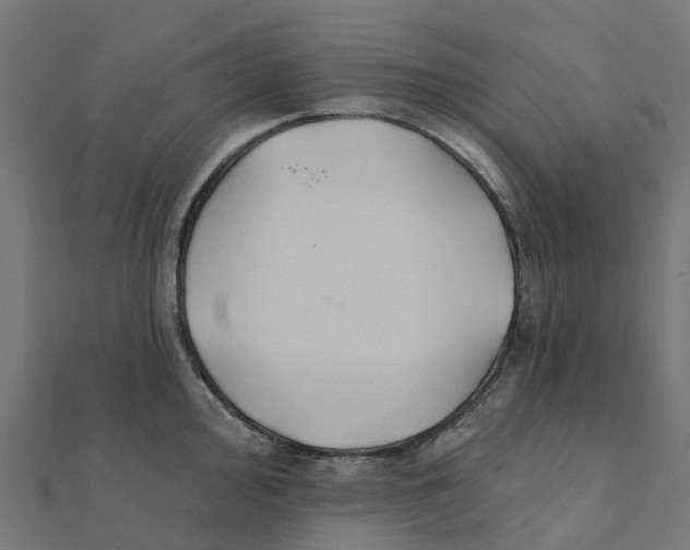 X0000111241000200907301303