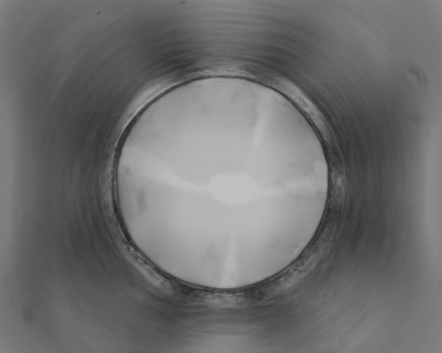 X0000111241002200907301303