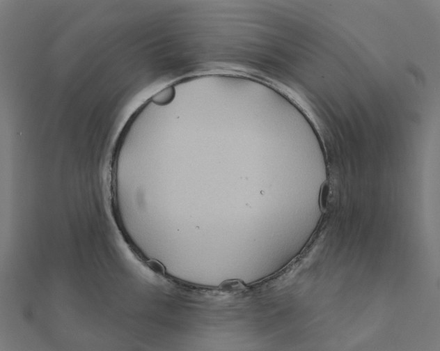 X0000111241003200907301303