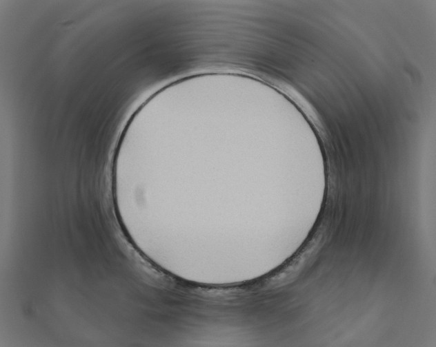 X0000111241004200907301303