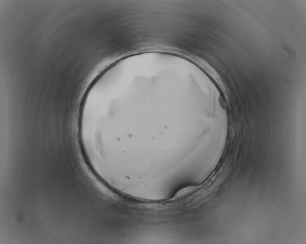X0000111241005200907301303