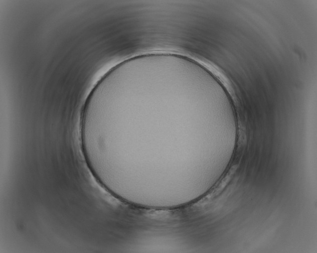 X0000111241006200907301303