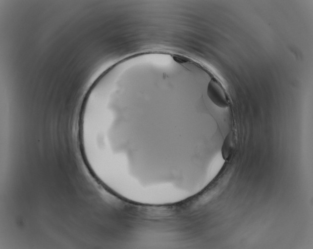 X0000111241007200907301302