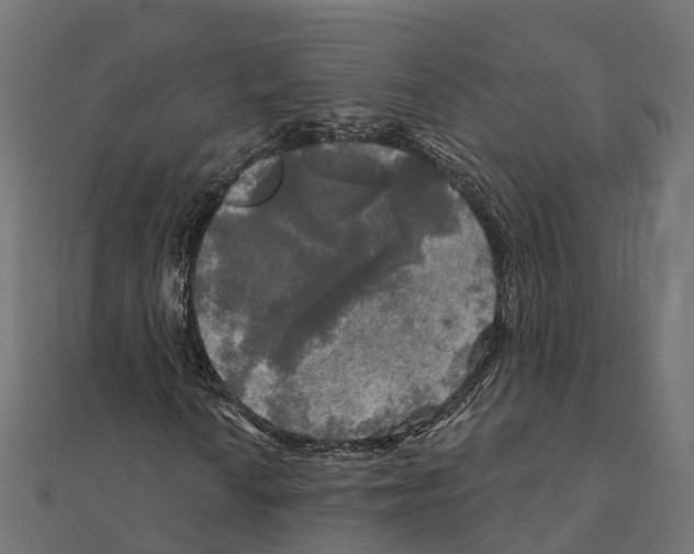 X0000111241010200907301302