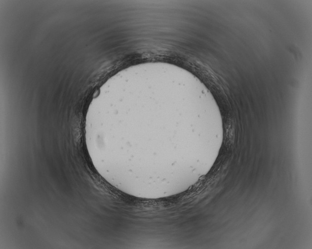 X0000111241012200907301302