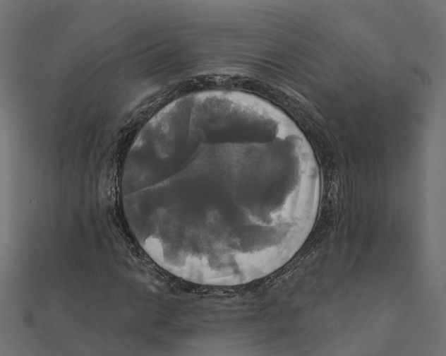 X0000111241014200907301302